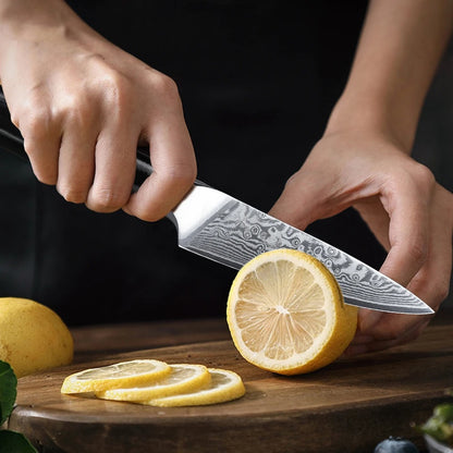 TURWHO 3.5 Inch Paring Knife 67 Layer Damascus Steel VG10 Steel Core Sharp Utility Vegetable Peeling Fruit Knife Household Tools