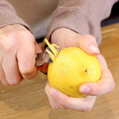 LMETJMA Stainless Steel Lemon Zester Grater with Channel Knife and Hanging Loop Lemon Orange Citrus Zester